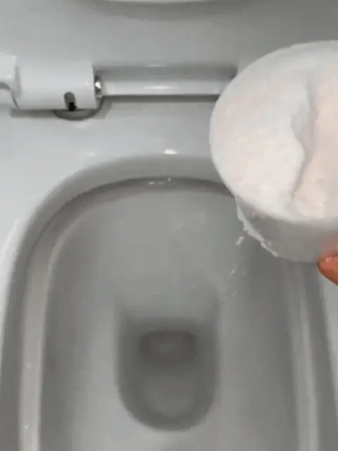 Fast Clear WC, detergente per WC da 1 litro